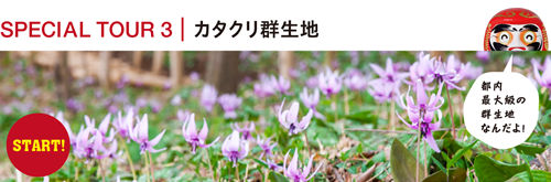 SPECIAL TOUR3|カタクリ群生地
