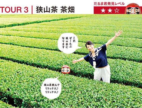 TOUR3｜狭山茶 茶畑