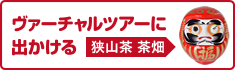 ヴァーチャルツアーに出かける【狭山茶 茶畑】